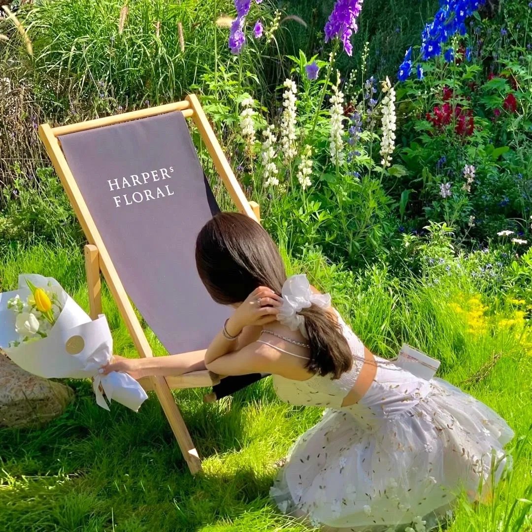 我的英雄学院：英雄崛起